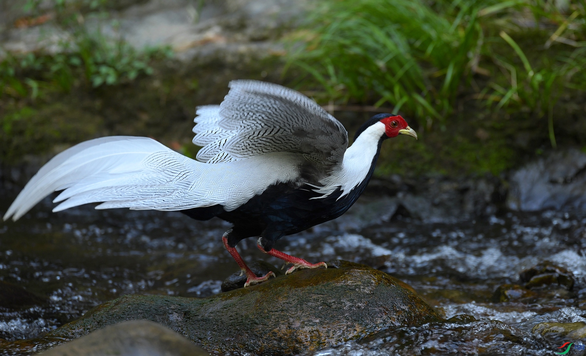 DSC_7828.jpg