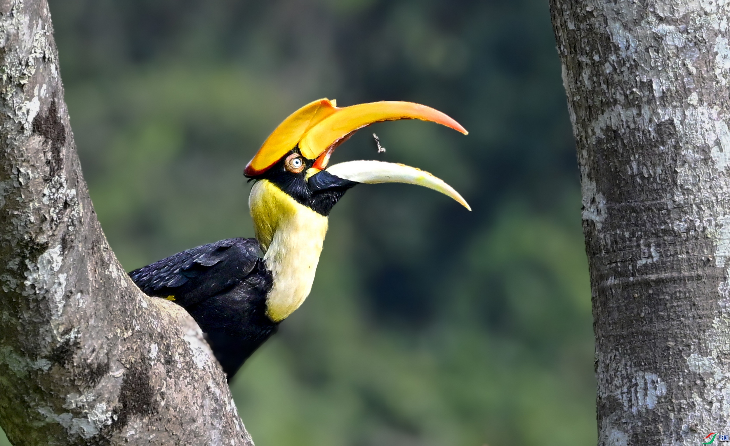 _DSC7256 ����3x.jpg