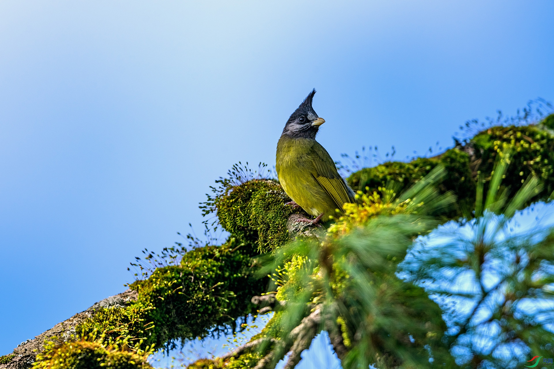 _AUU8248 ��ͷȸ����(25.8.25).jpg