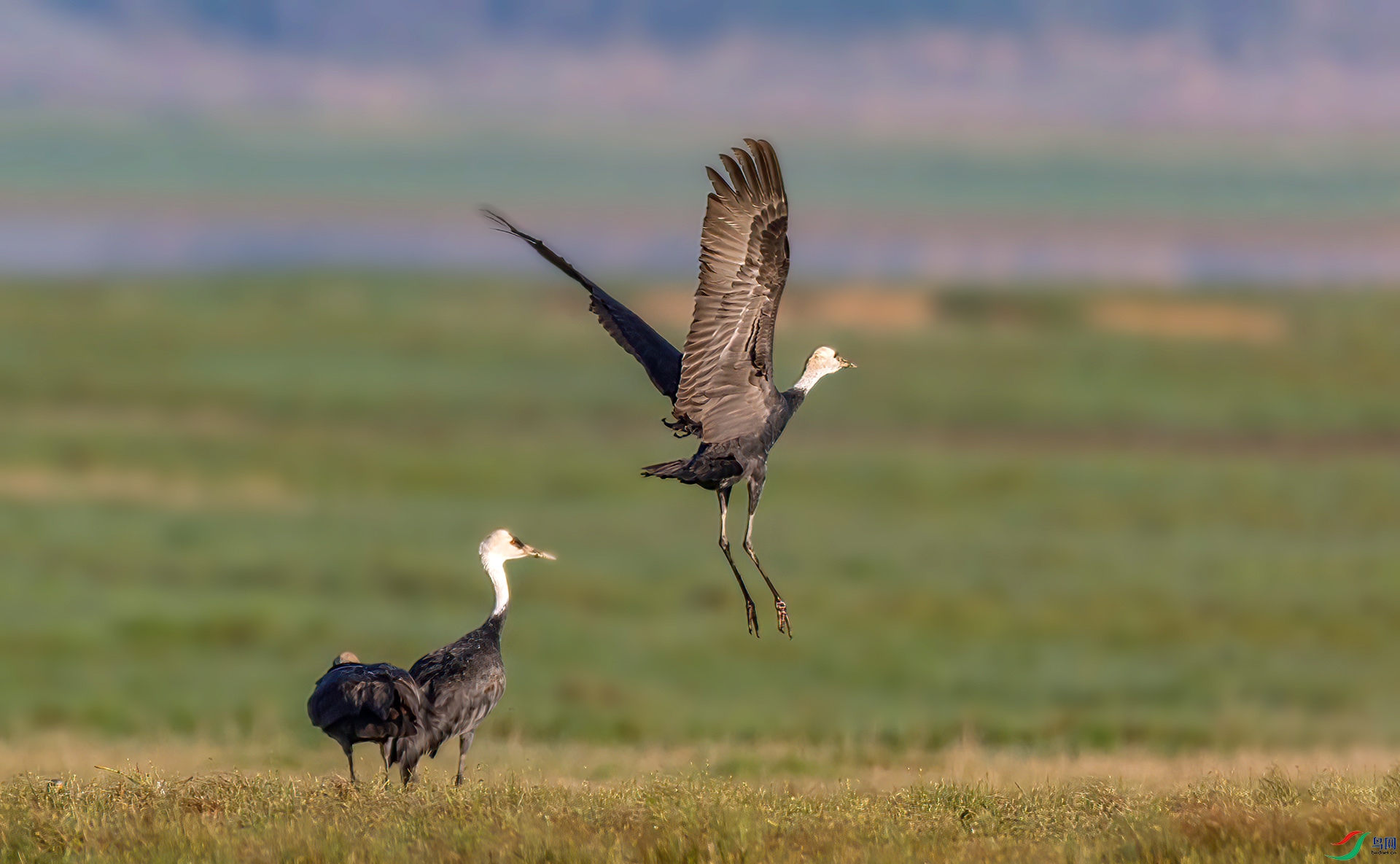 _07A3603 ����-Sh----1 .jpg