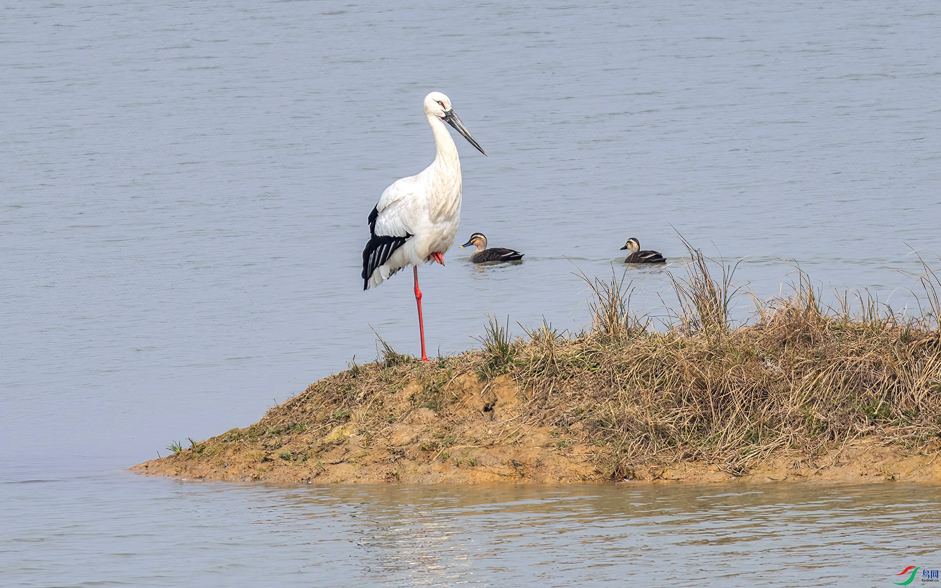 407A4028 ����-Sh-----1 .jpg