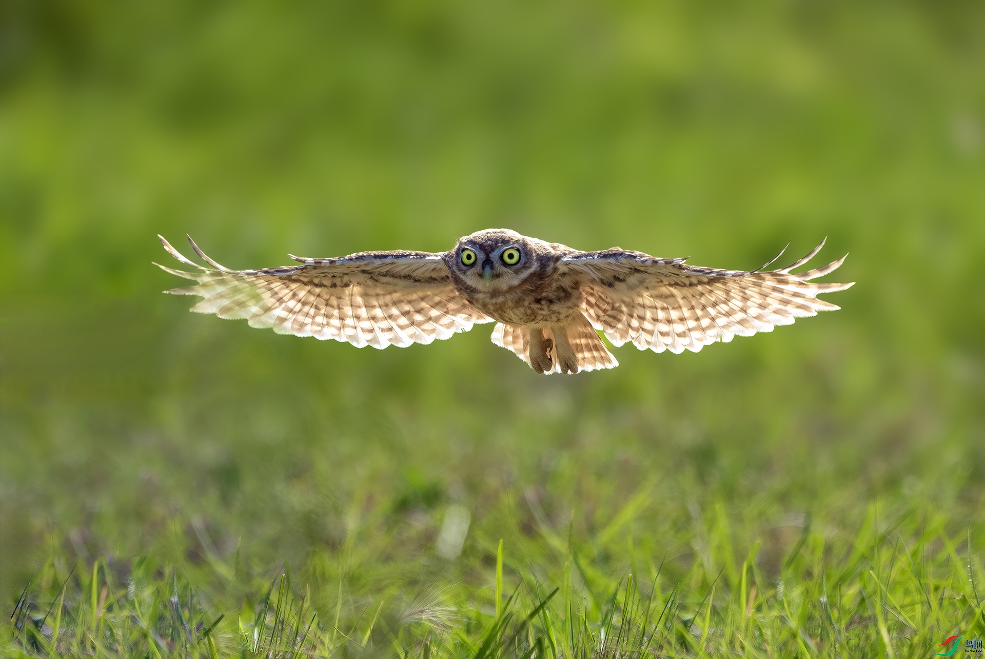 DSC00555-����ǿ-NR ����.jpg