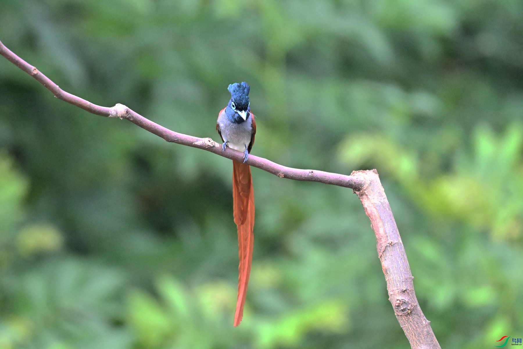 DSC_5568.JPG