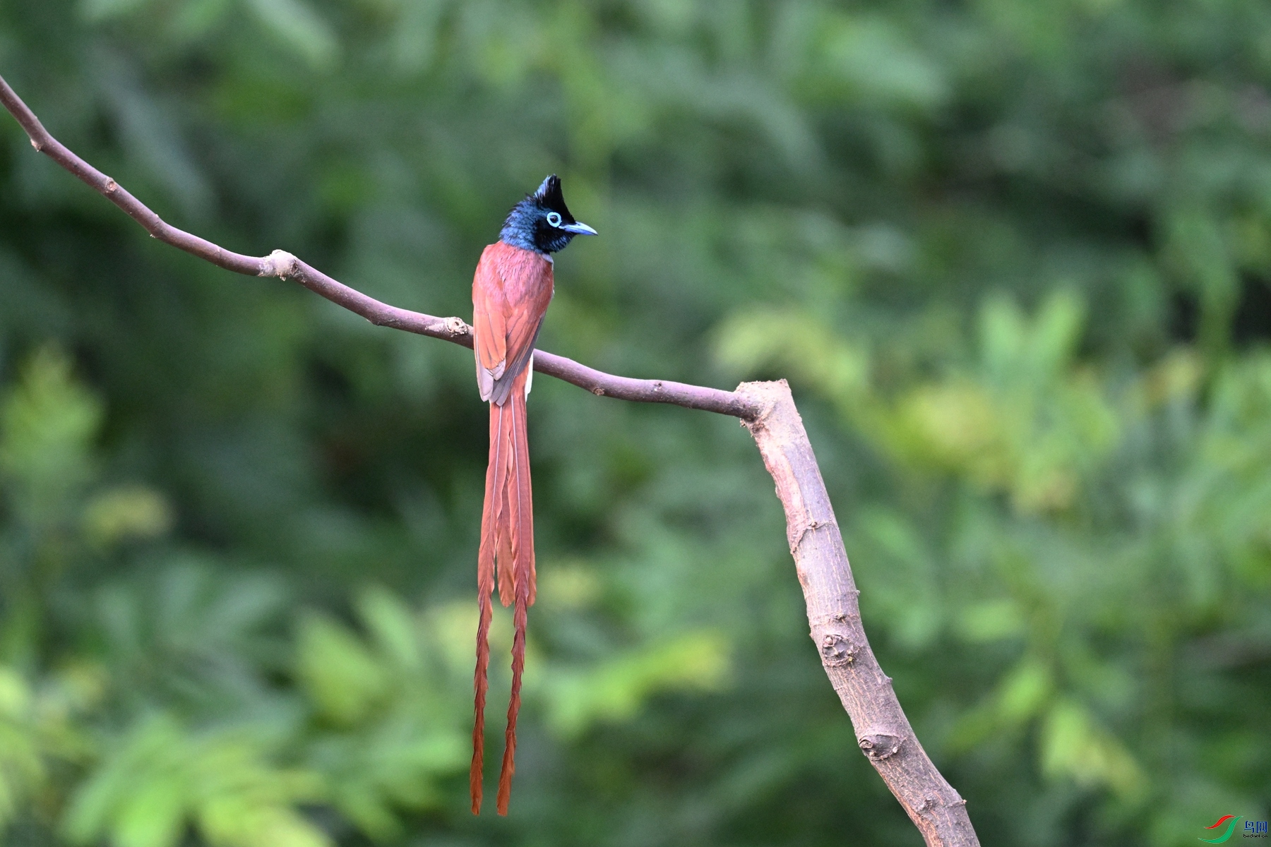 DSC_5615.JPG