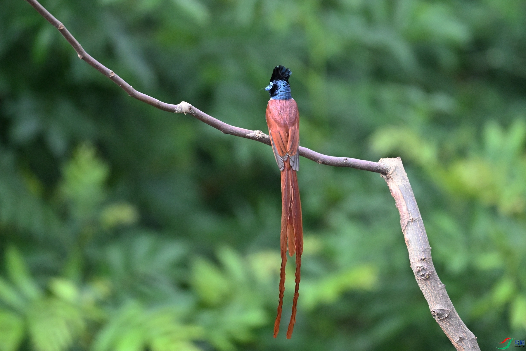 DSC_5625.JPG