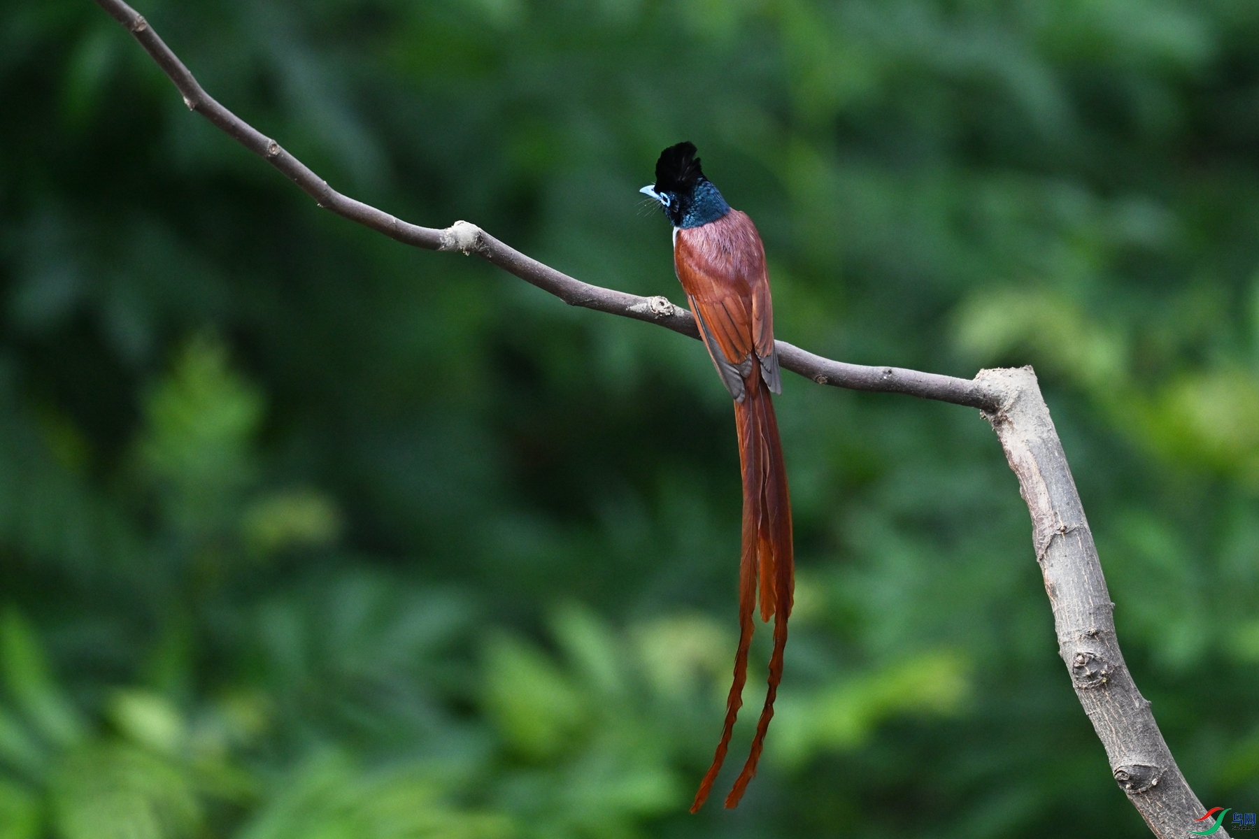 DSC_5629.JPG