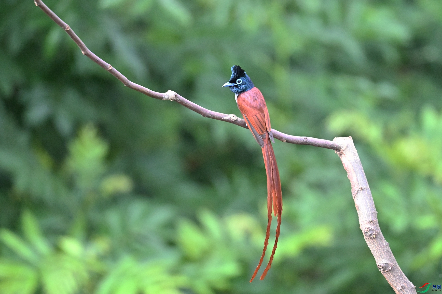 DSC_5631.JPG