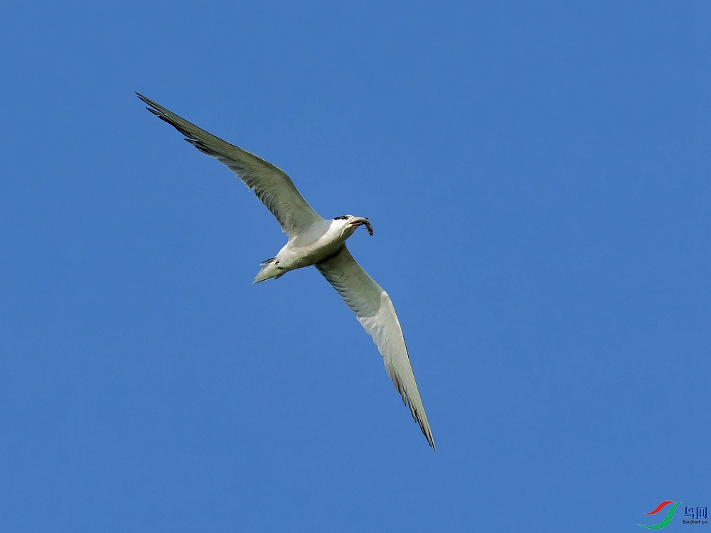 P9084849_DxO.jpg