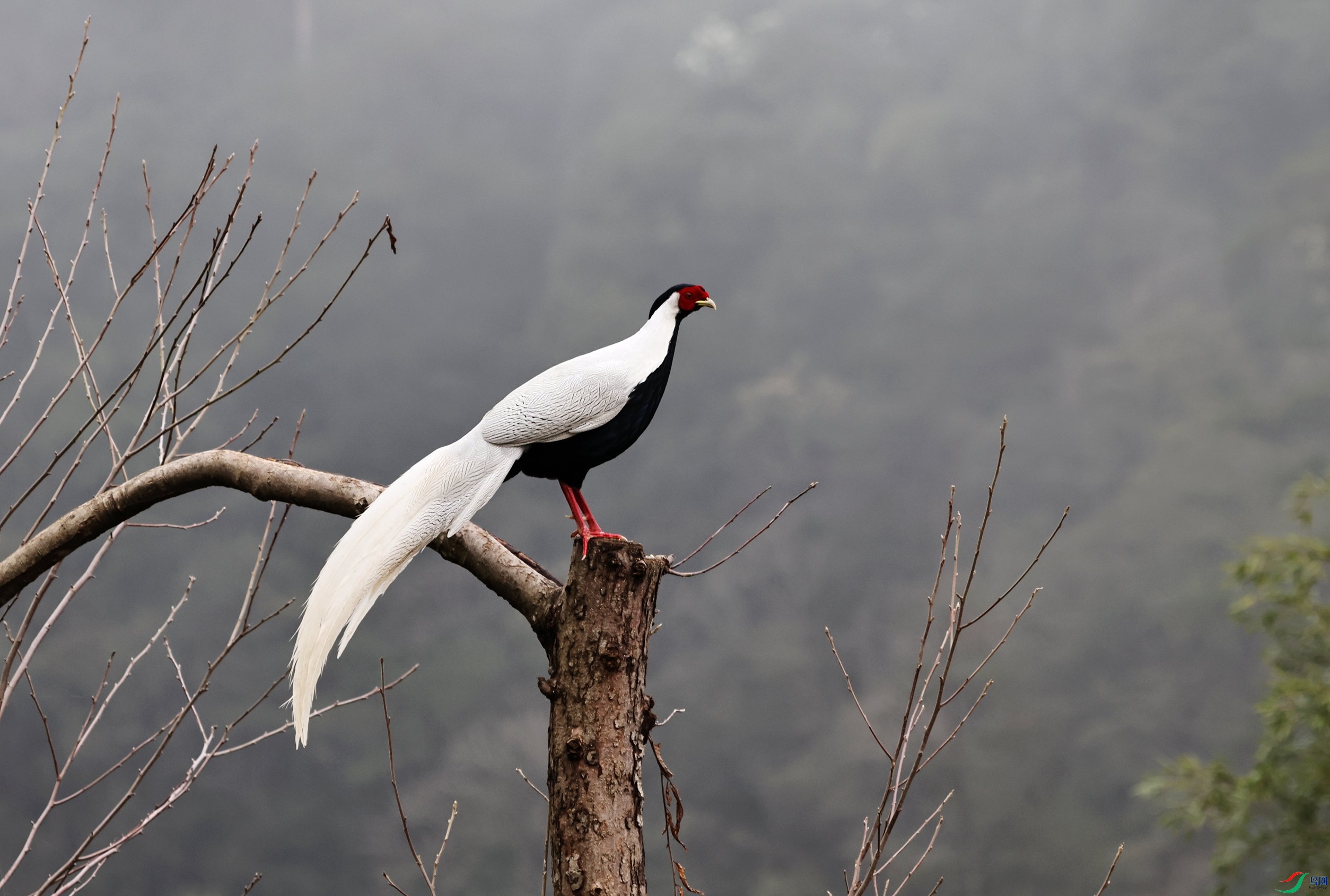 ���� (74).JPG