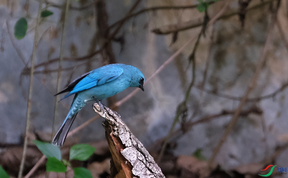 DSCF7764.1.jpg