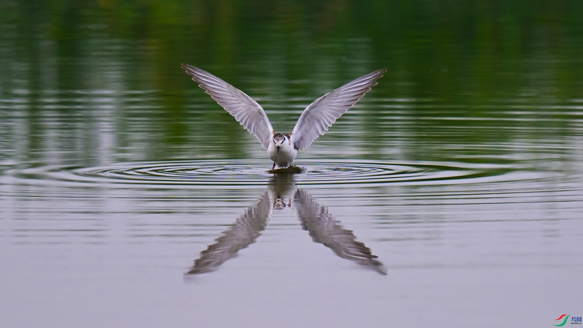 DSC_3407_��ͼ��_��ͼ��(1).jpg