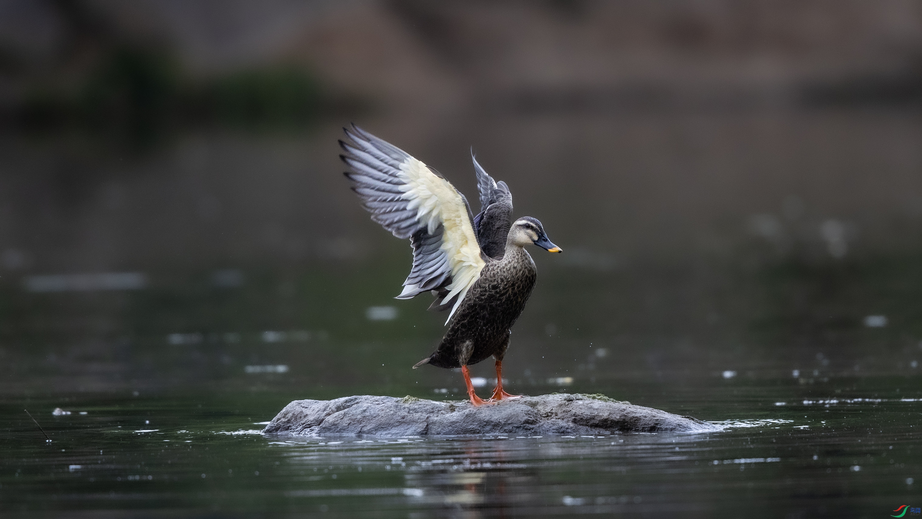 _O7A3433 ����444.jpg