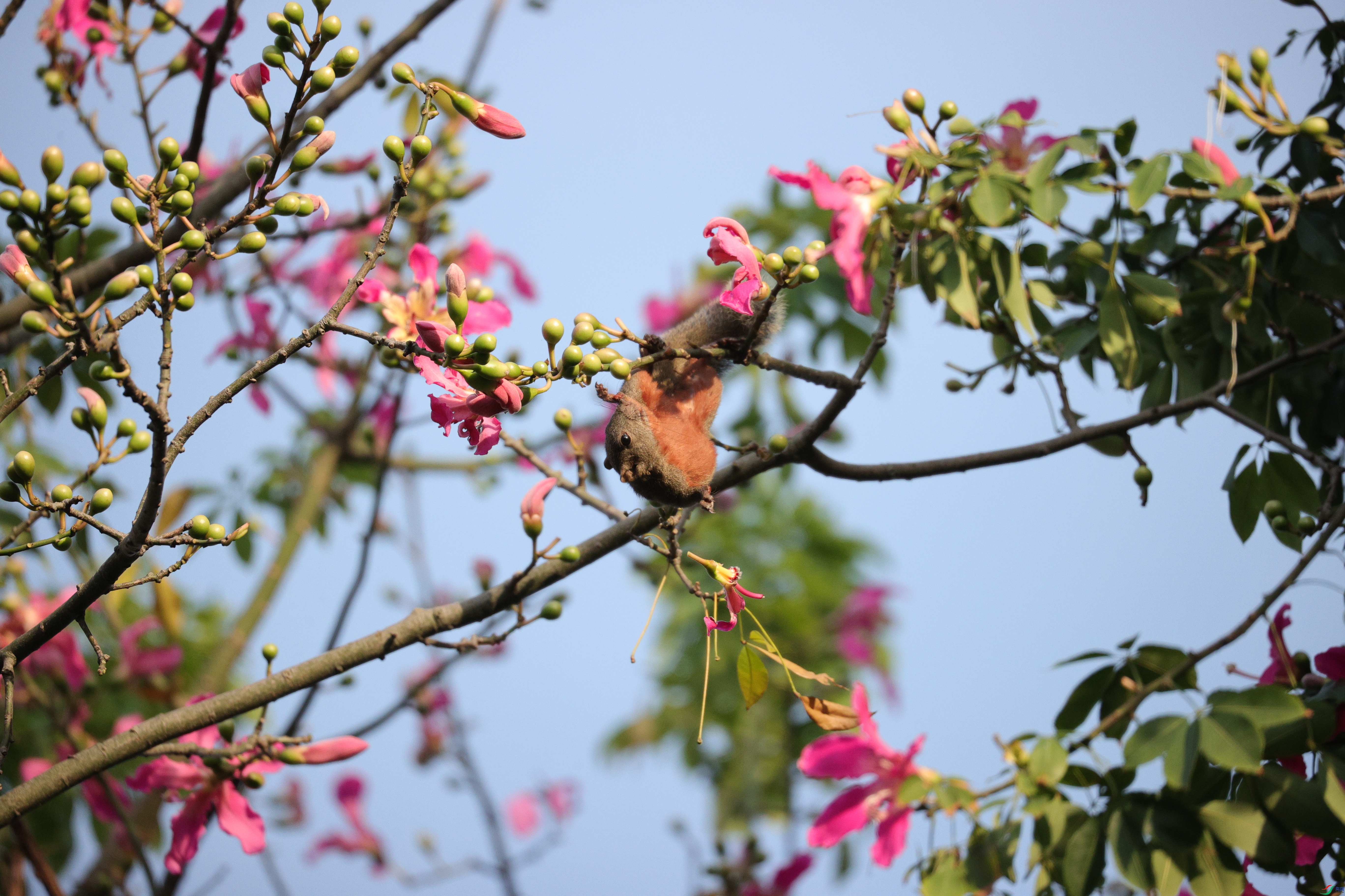 4808��ש����