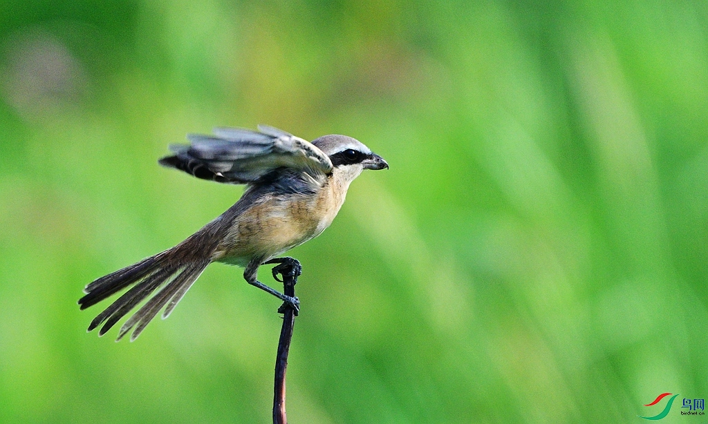 DSC_0475.JPG