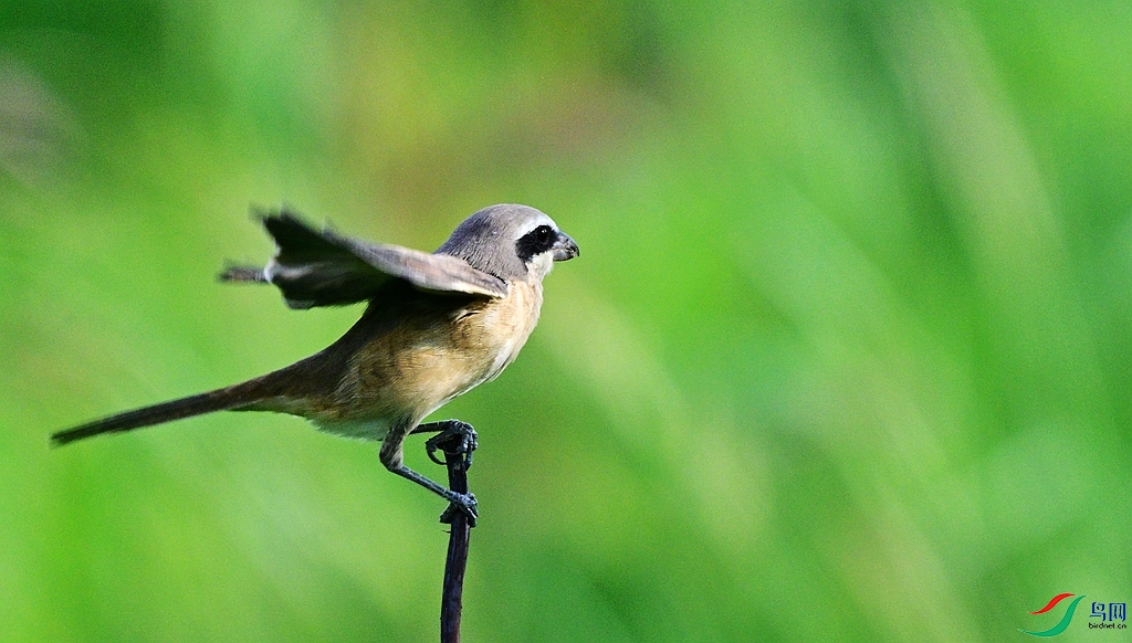 DSC_0488.JPG