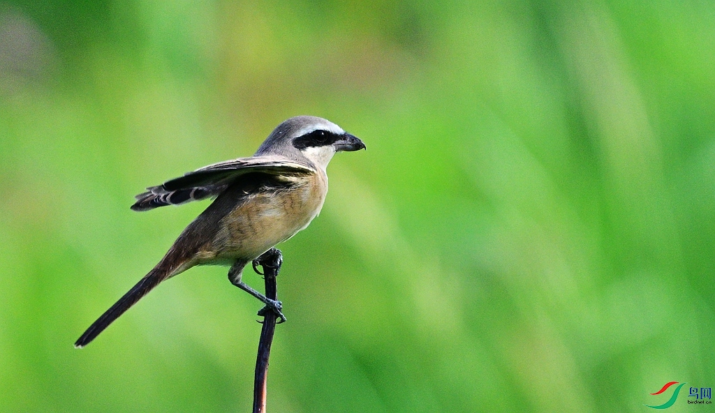 DSC_0543.JPG