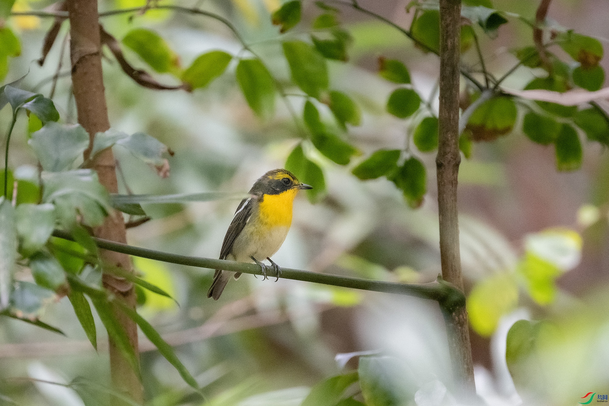 DSC_8217.jpg