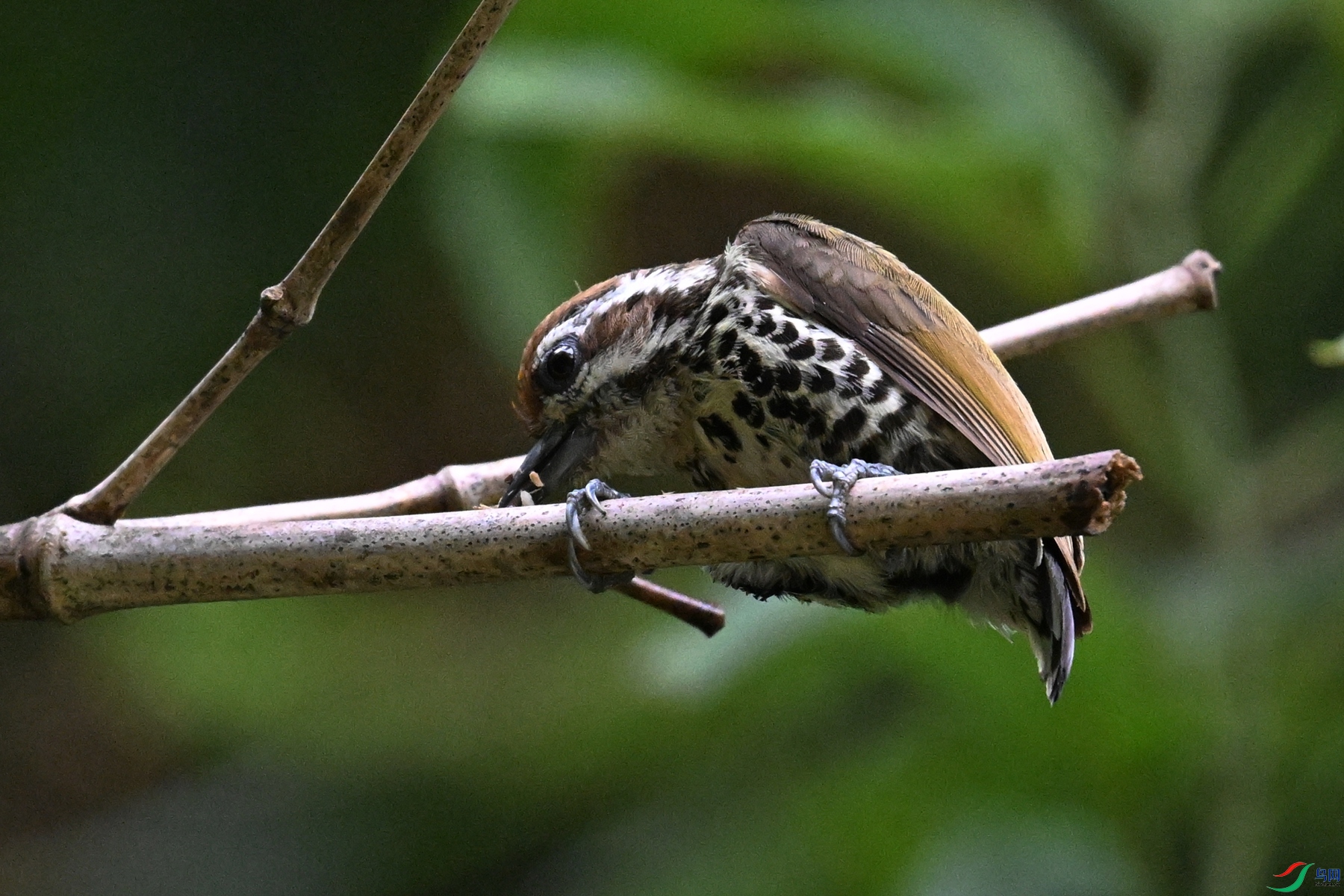 DSC_8697.JPG