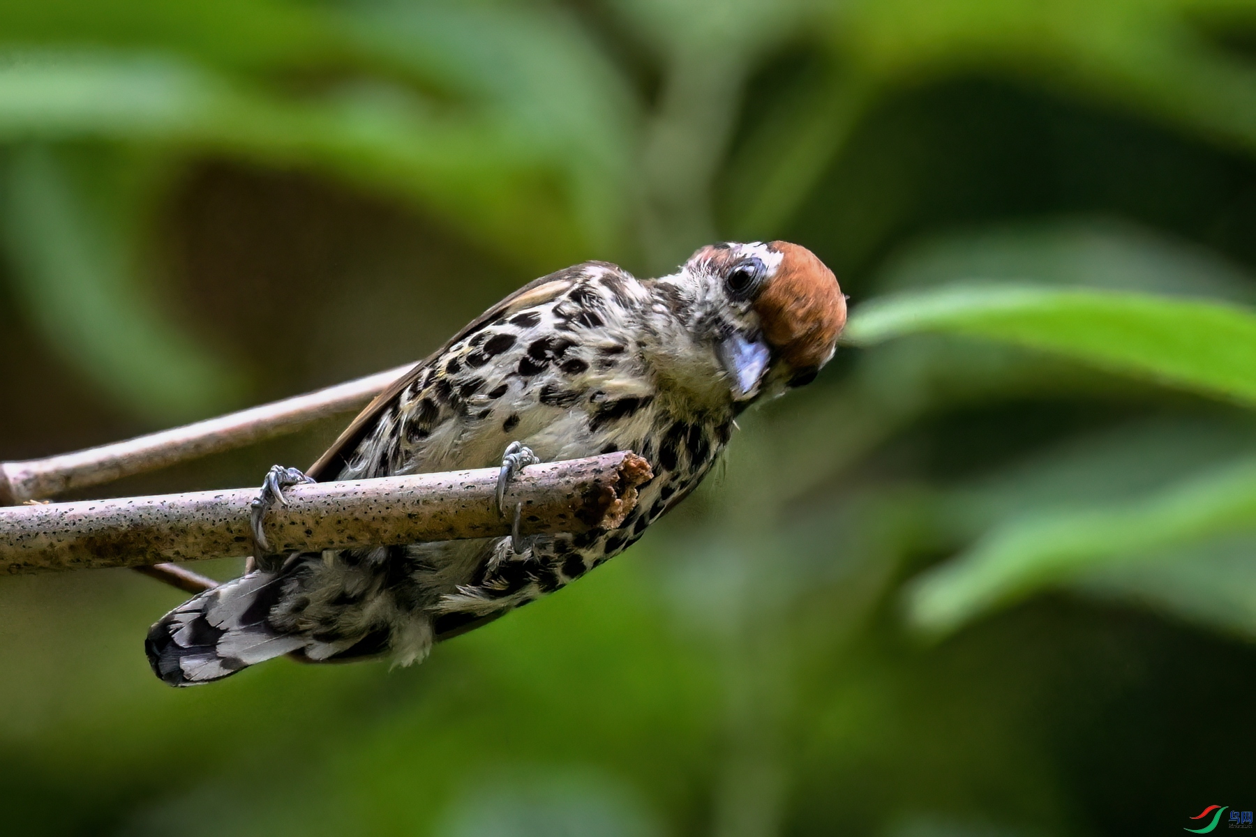 DSC_8708.JPG