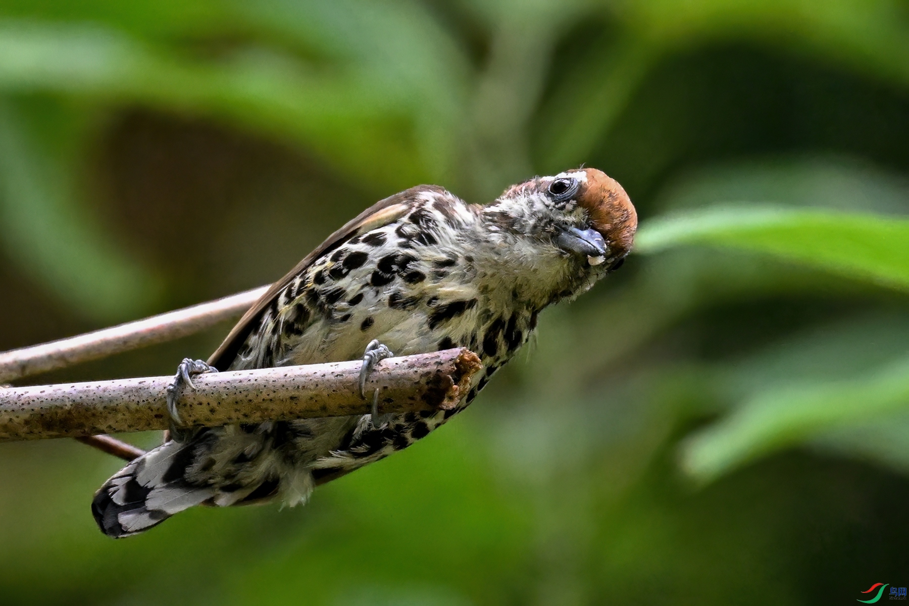 DSC_8707.JPG
