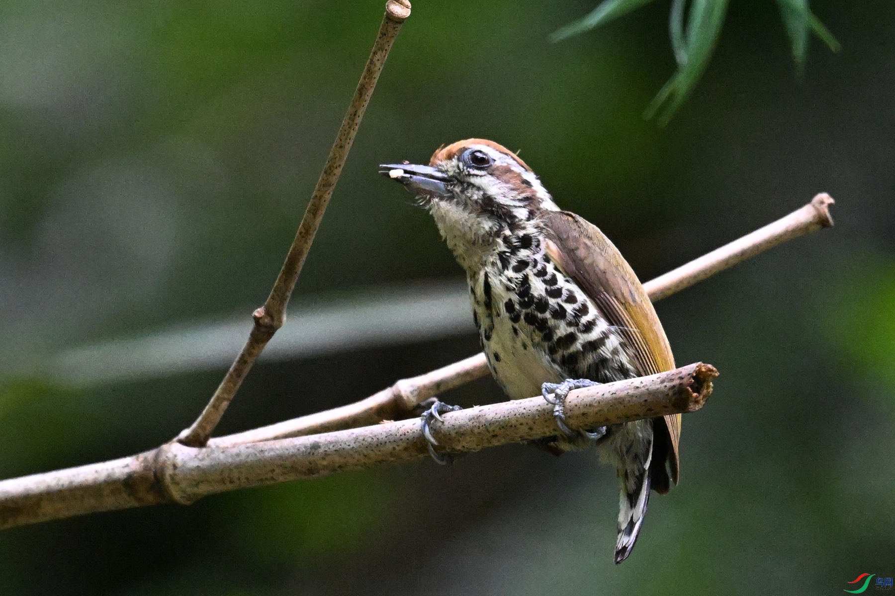 DSC_8676.JPG