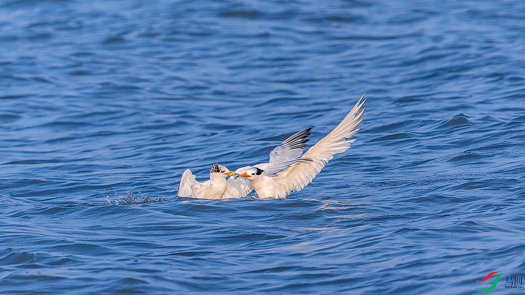 sdqdR3250821 (2217)_DxO.jpg