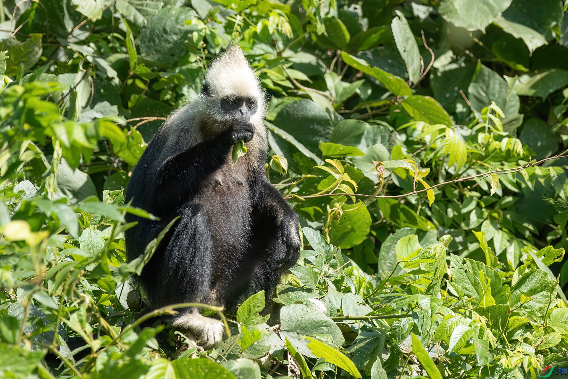 B86I4222 _����.jpg