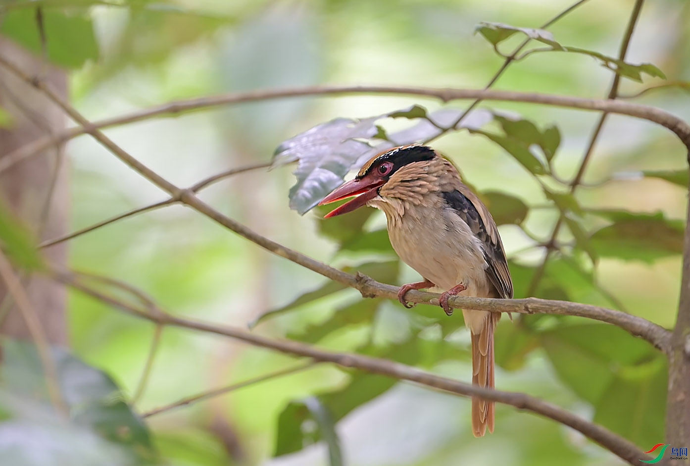 {FC8F4DD5-D34D-4CC4-90E2-A05E8CB24B4C} ����.jpg