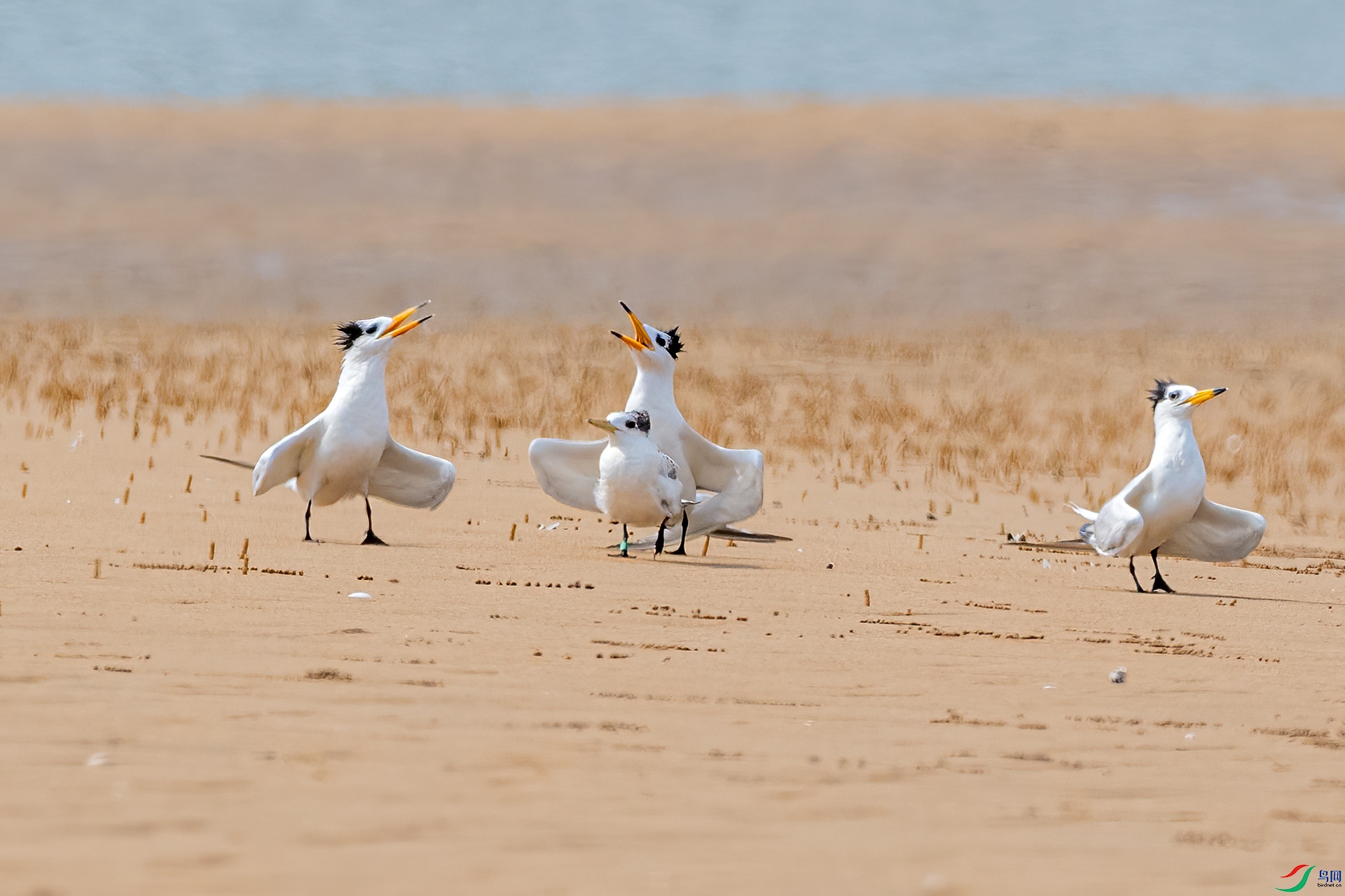 DSC_5077.jpg