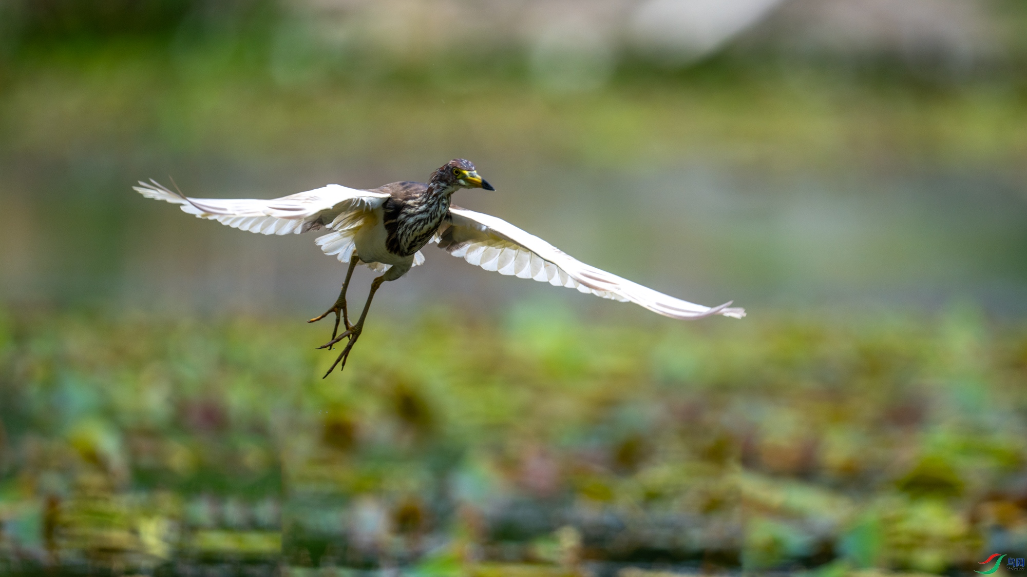 DSC_7577.jpg