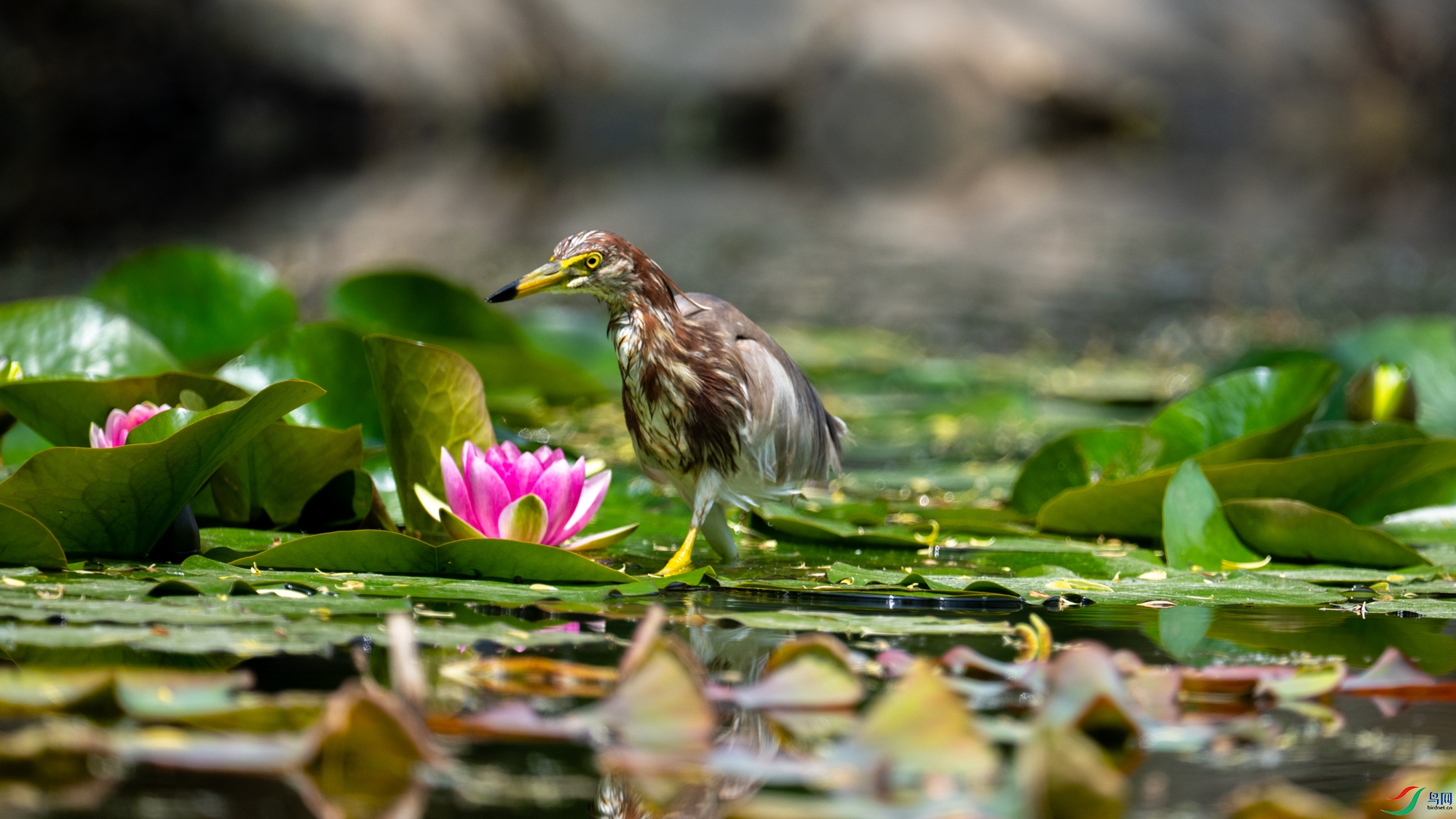 DSC_6735.jpg