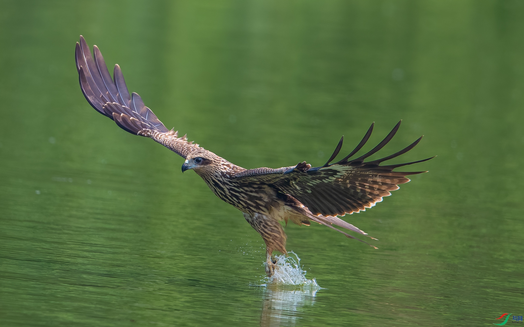 DSC_1458-DxO_DeepPRIME XD2s_XD-2.jpg