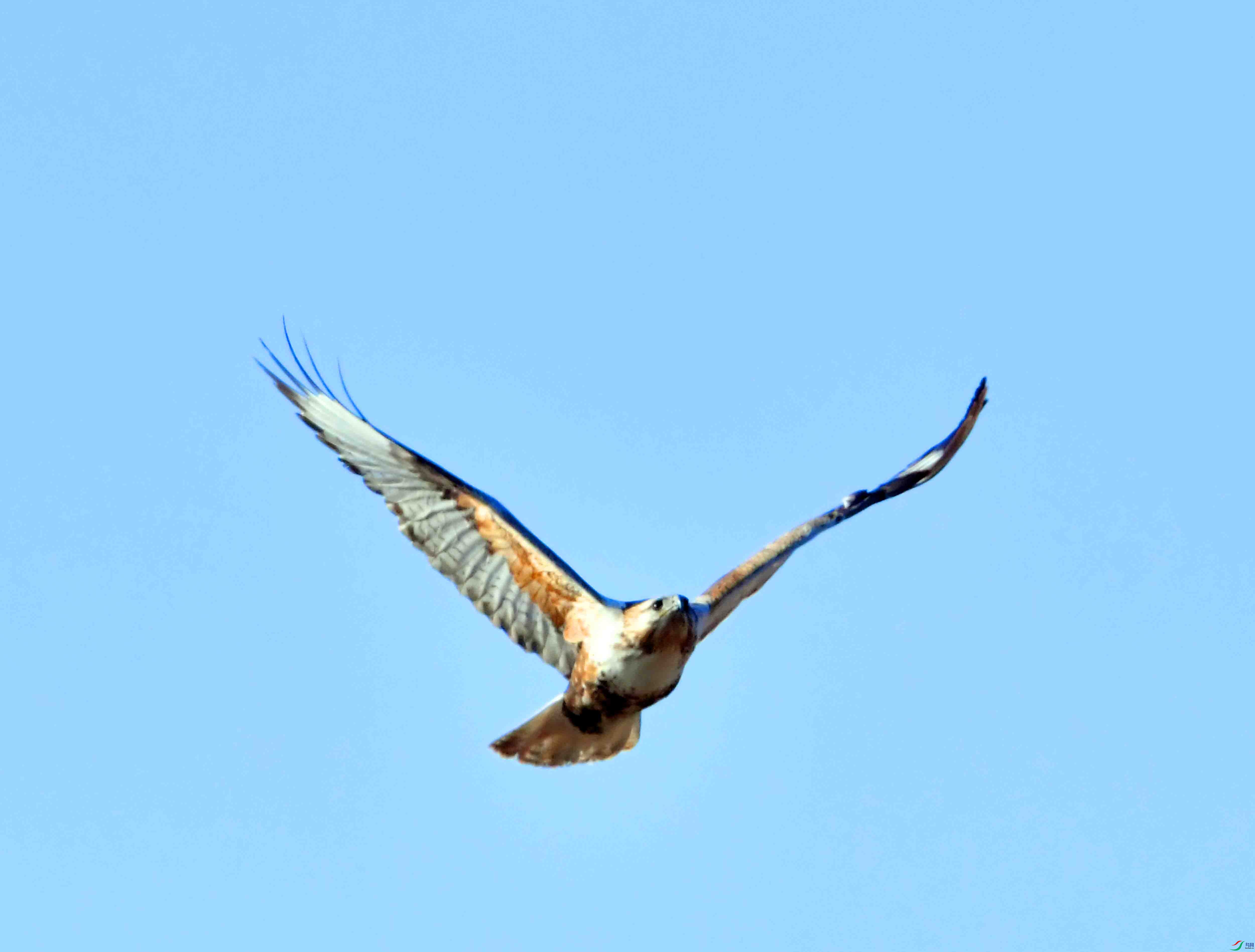 DSC_1463.JPG