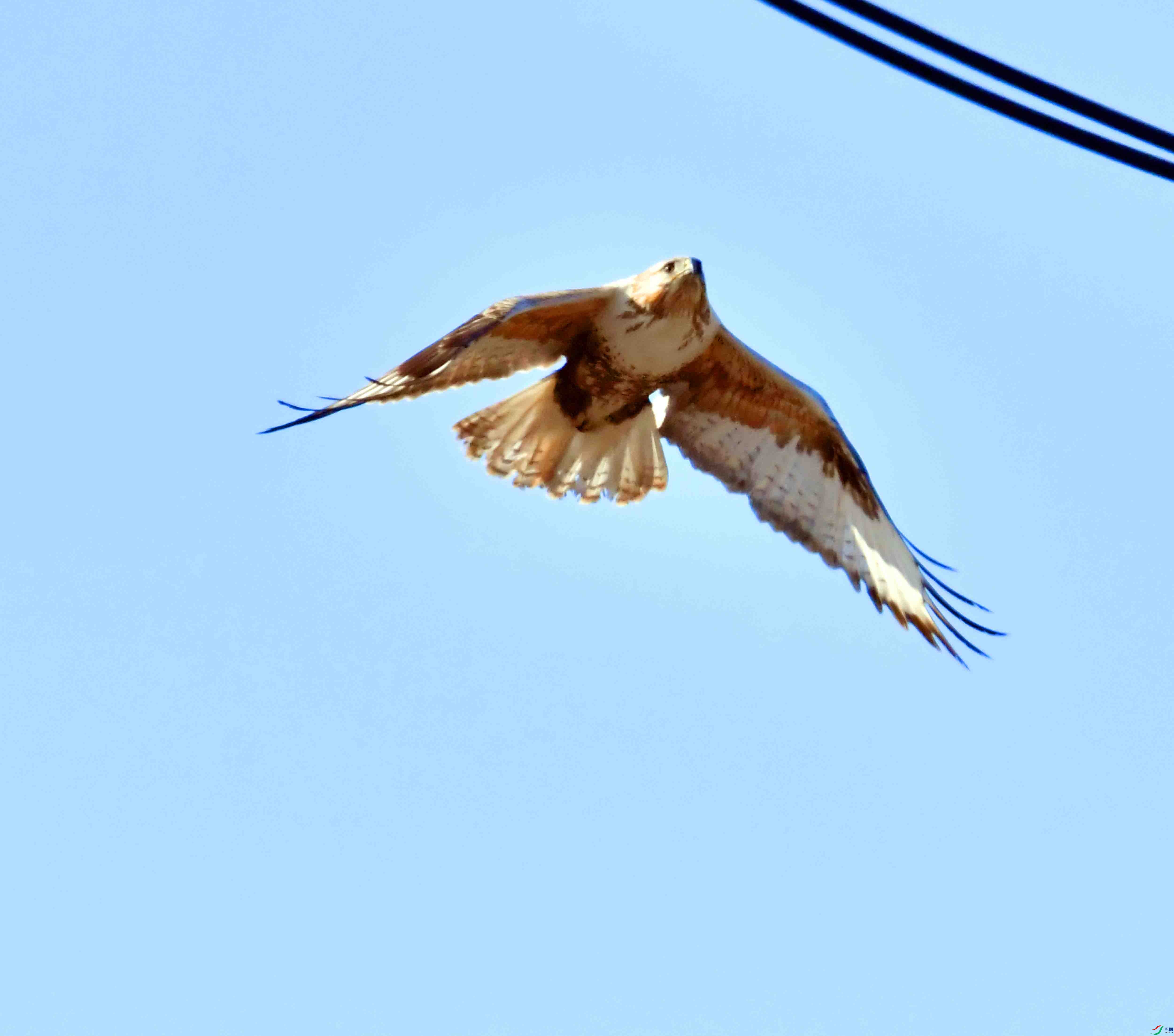 DSC_1465.JPG
