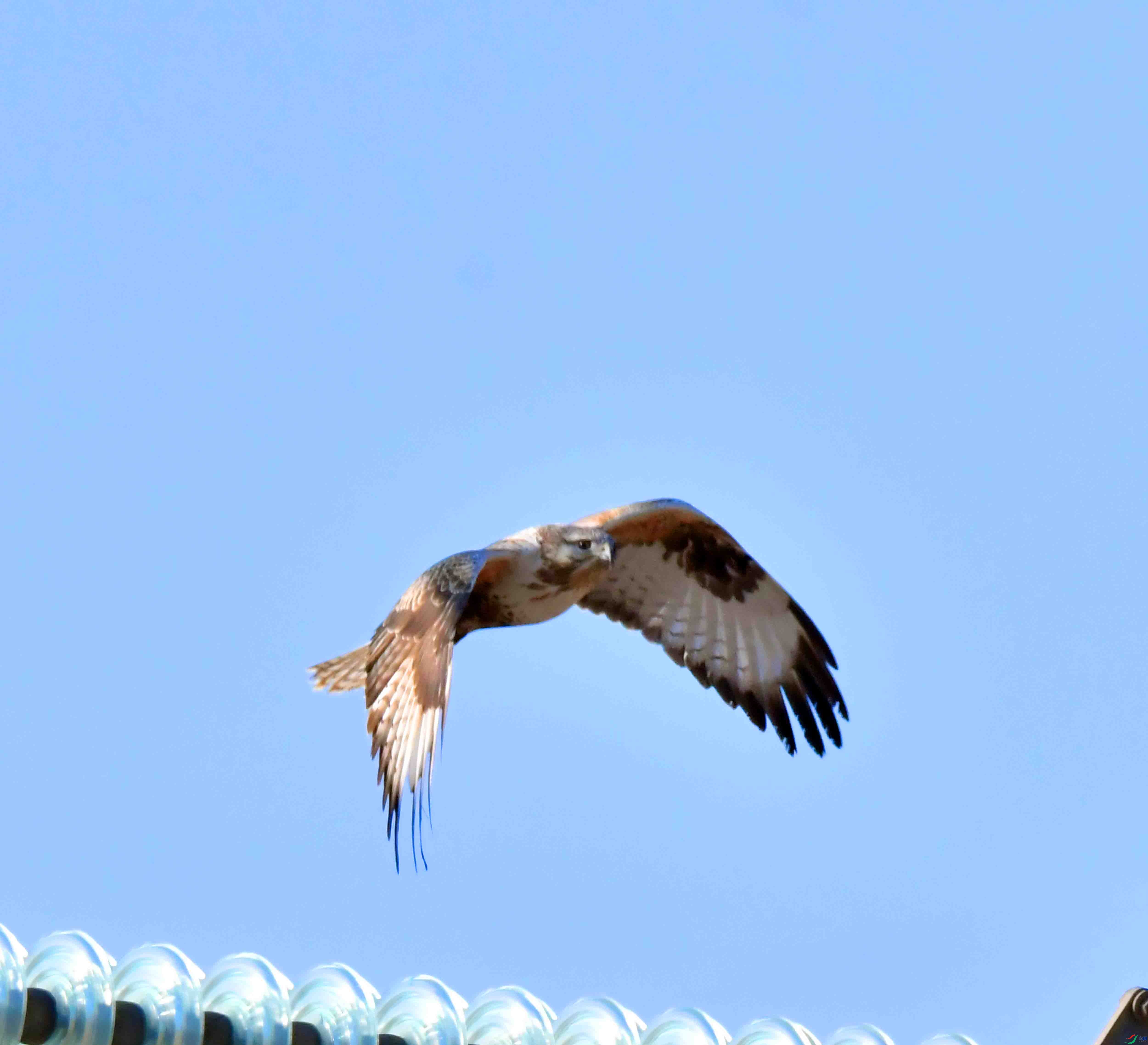DSC_1471.JPG