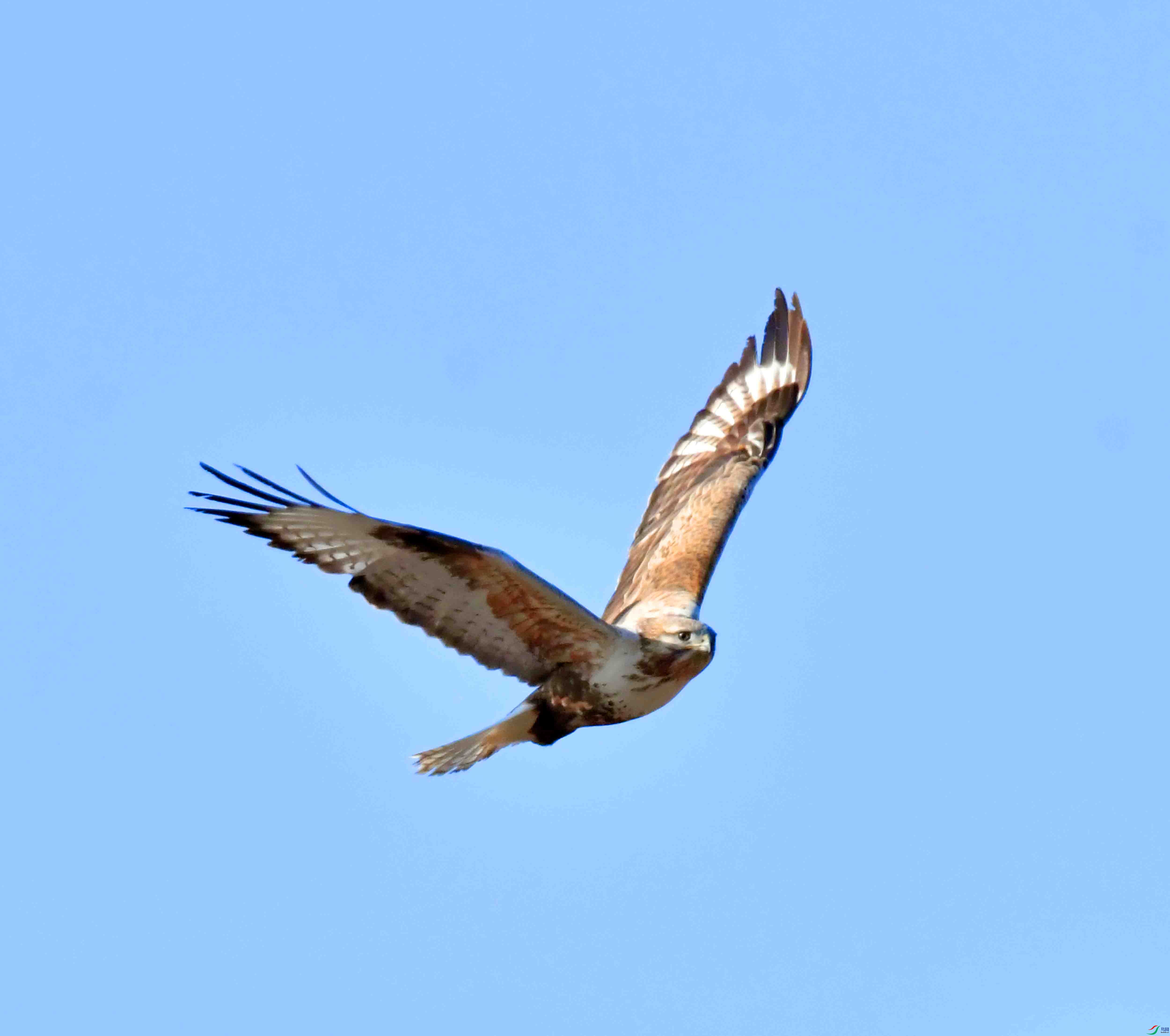 DSC_1472.JPG