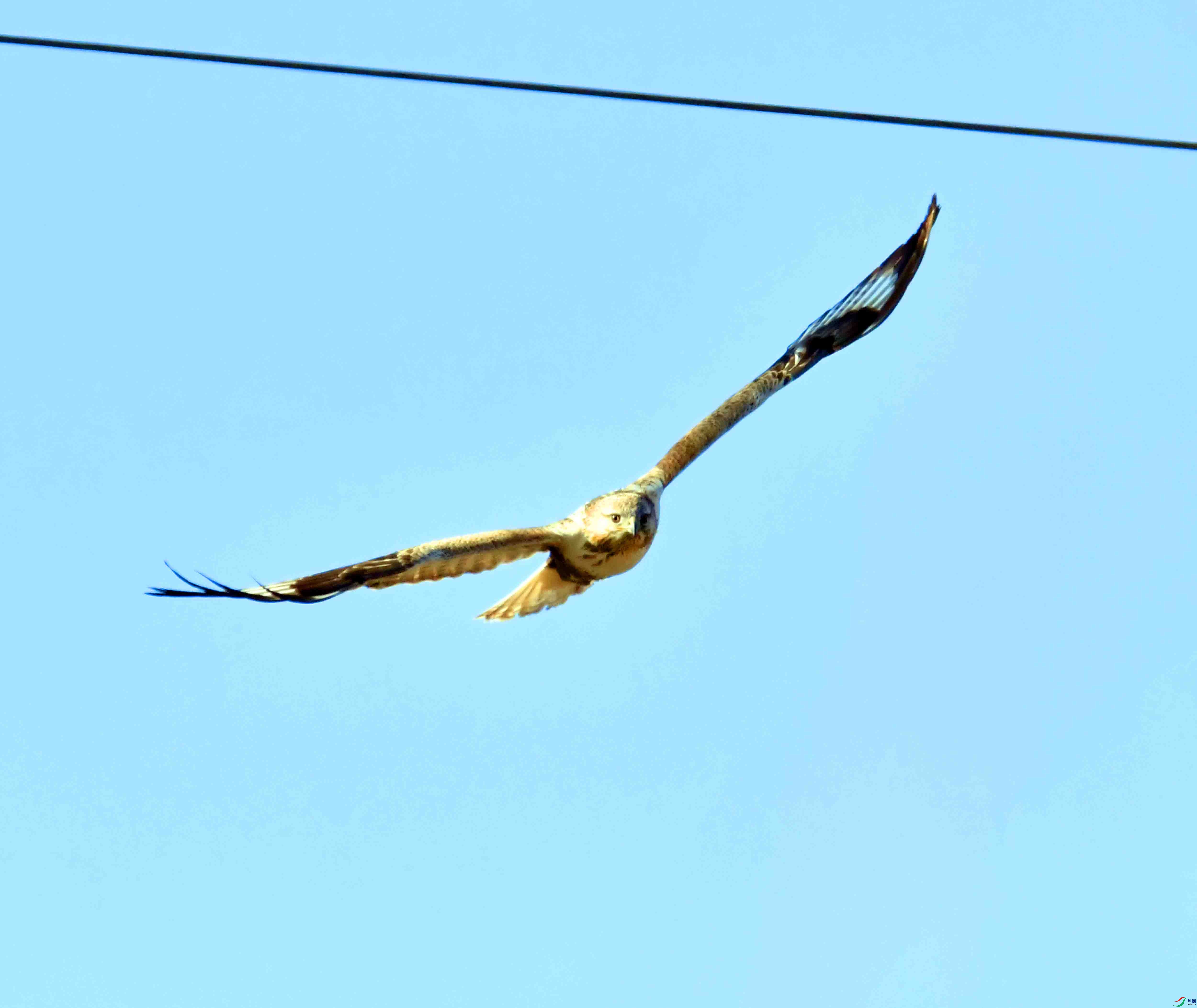 DSC_1473.JPG