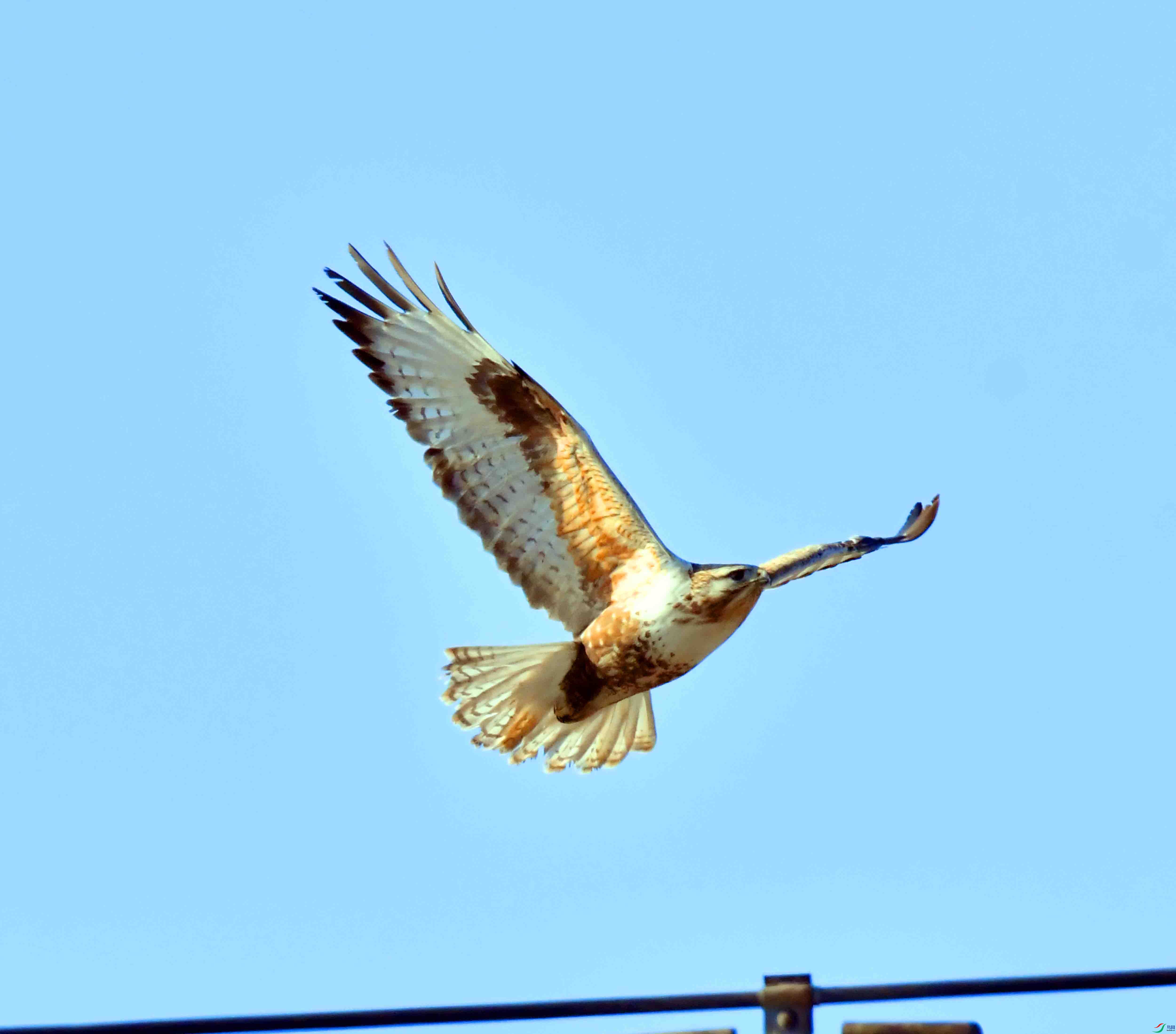 DSC_1486.JPG