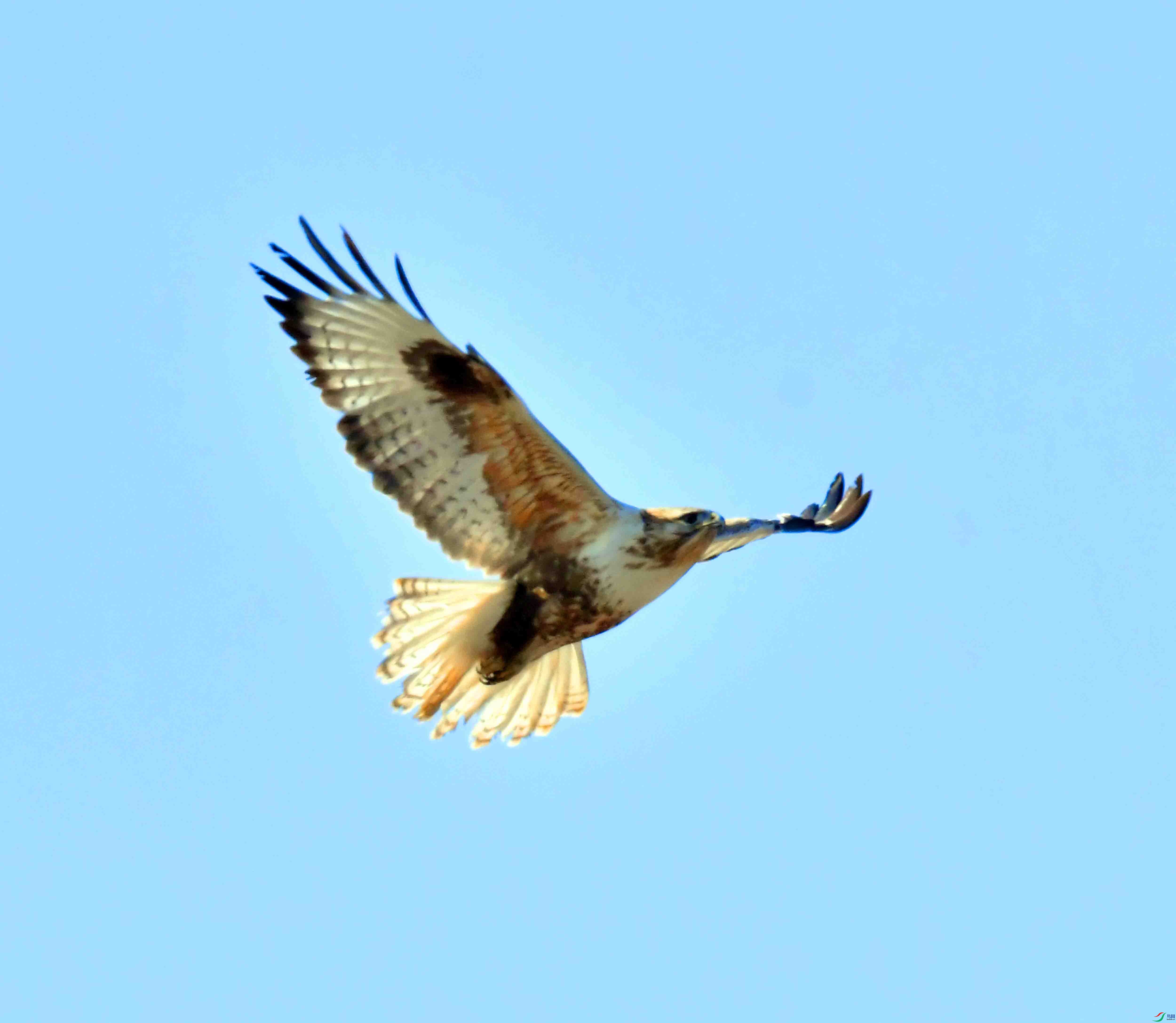 DSC_1488.JPG