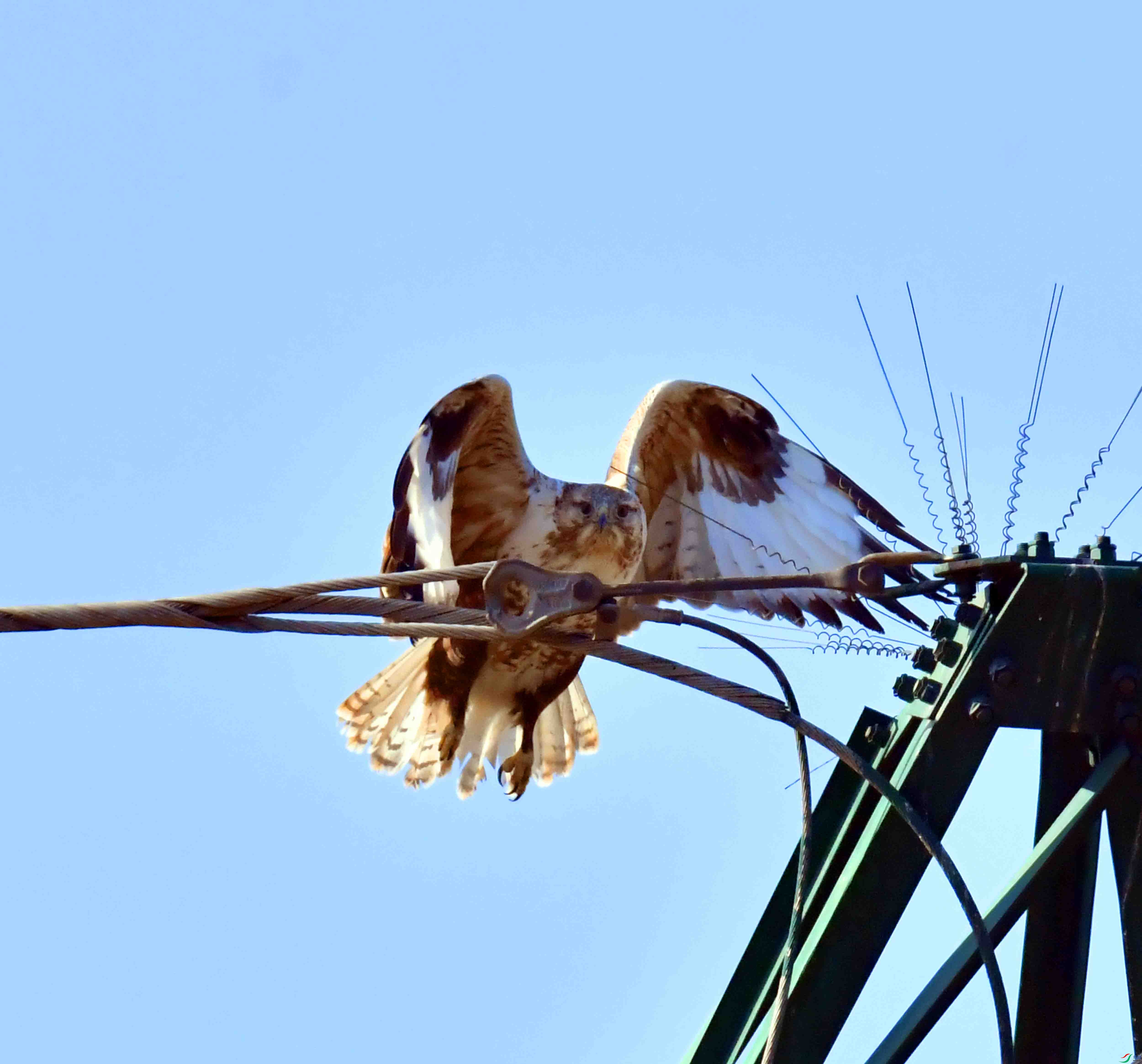 DSC_1498.JPG