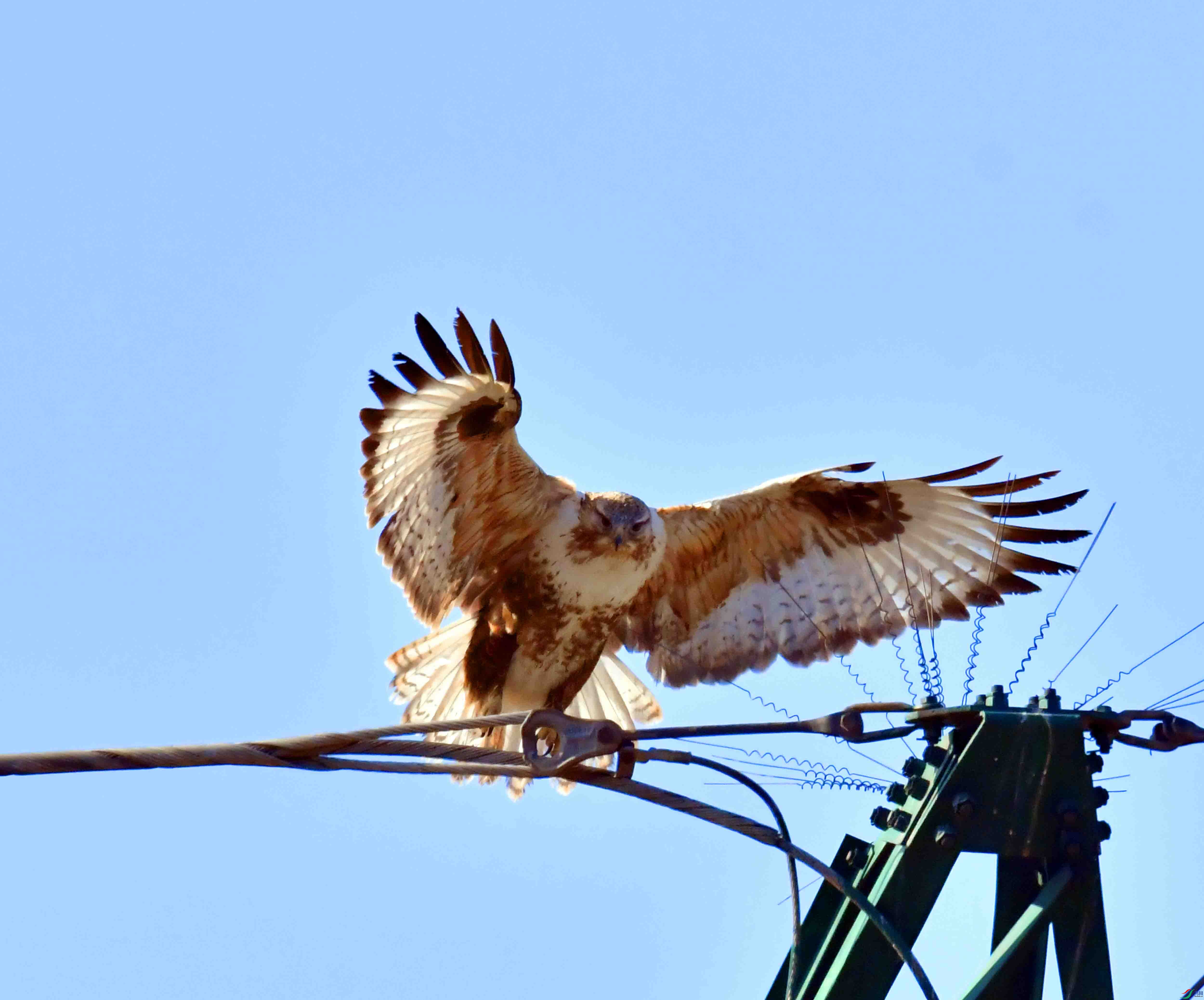 DSC_1500.JPG