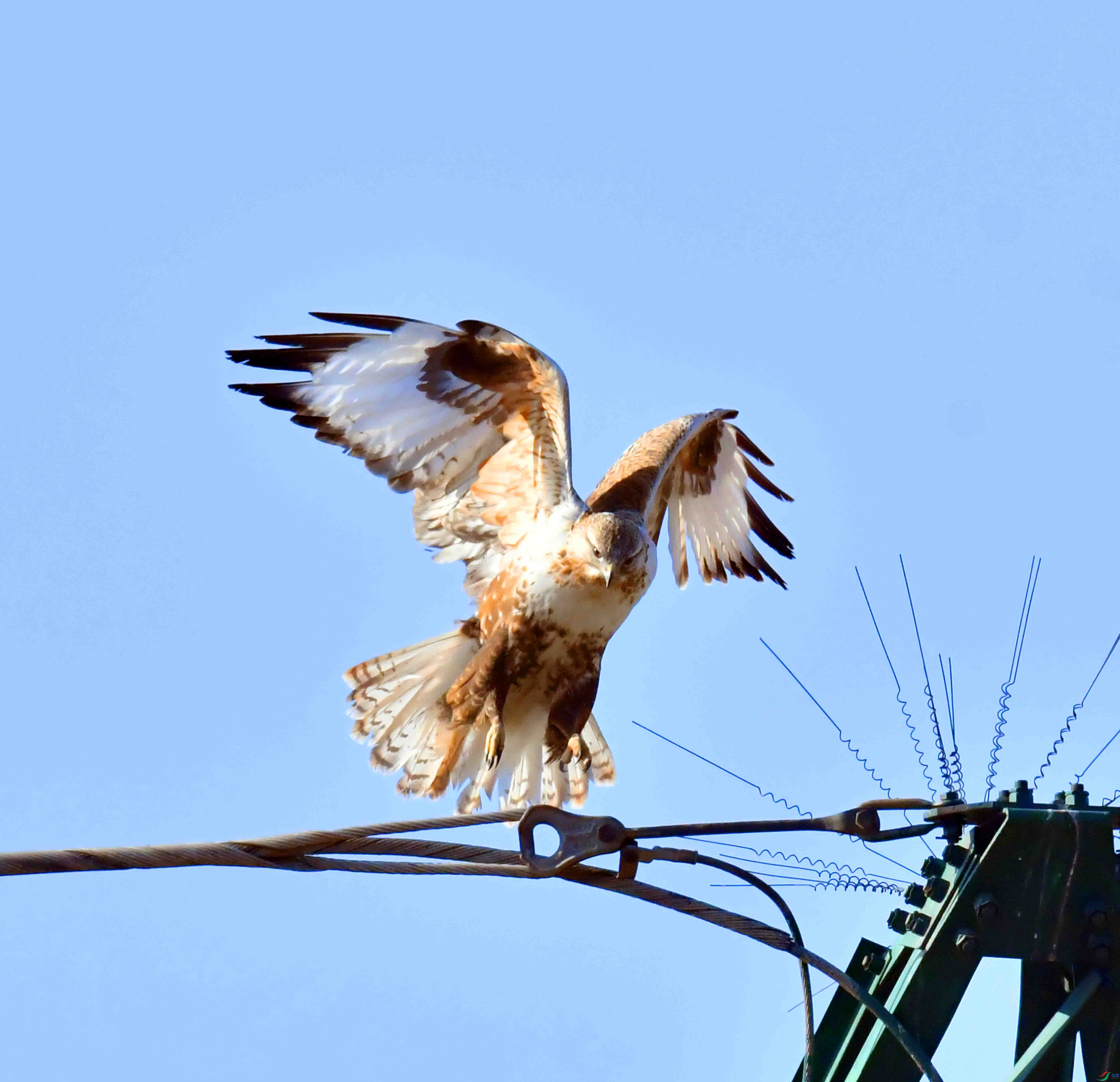 DSC_1501.JPG