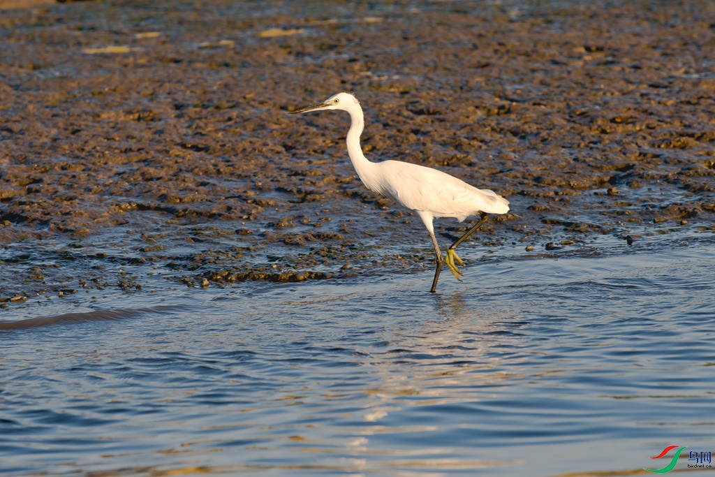 DSC_1229.jpg