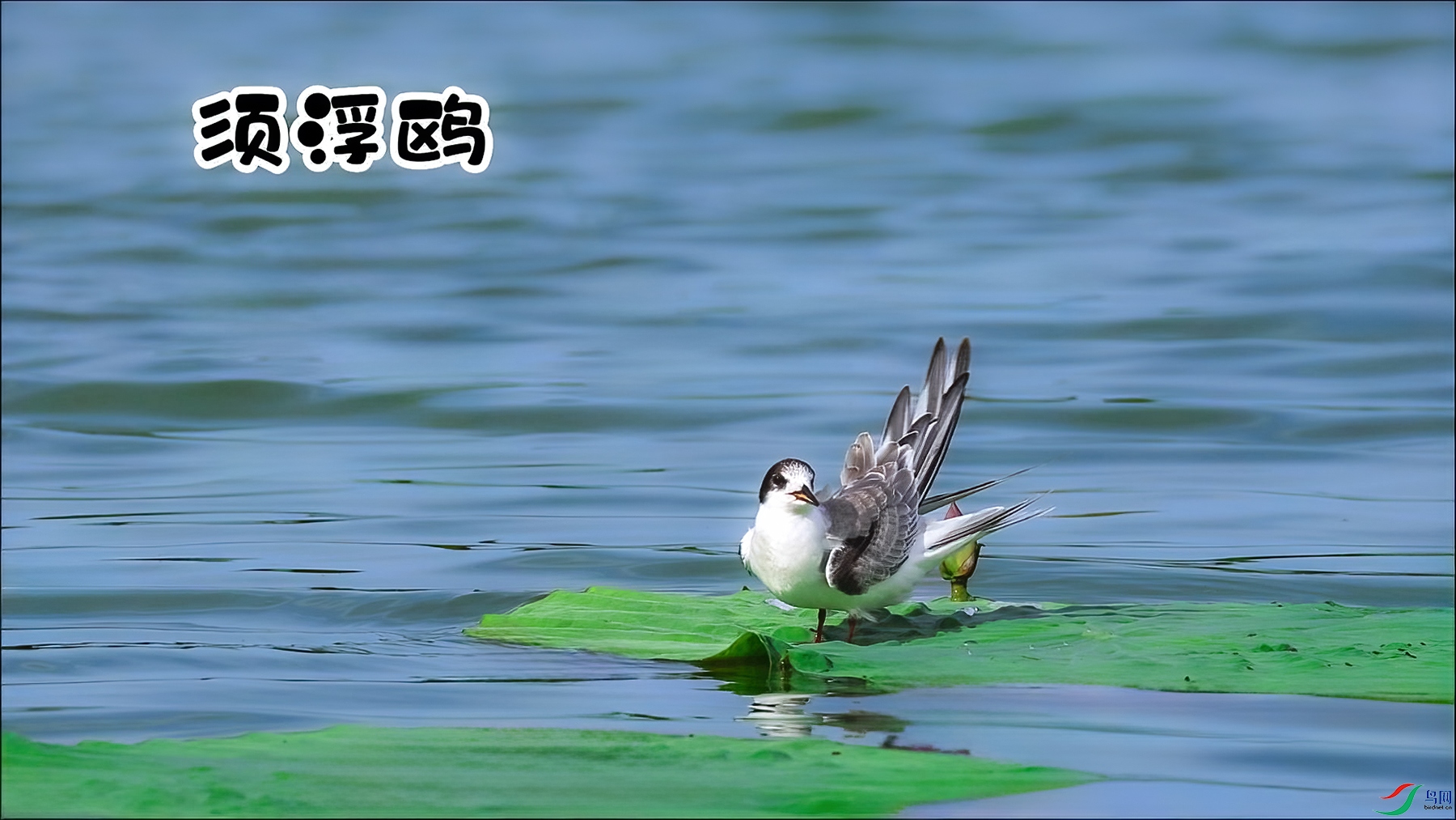 �븡Ÿ-���� ����.jpg