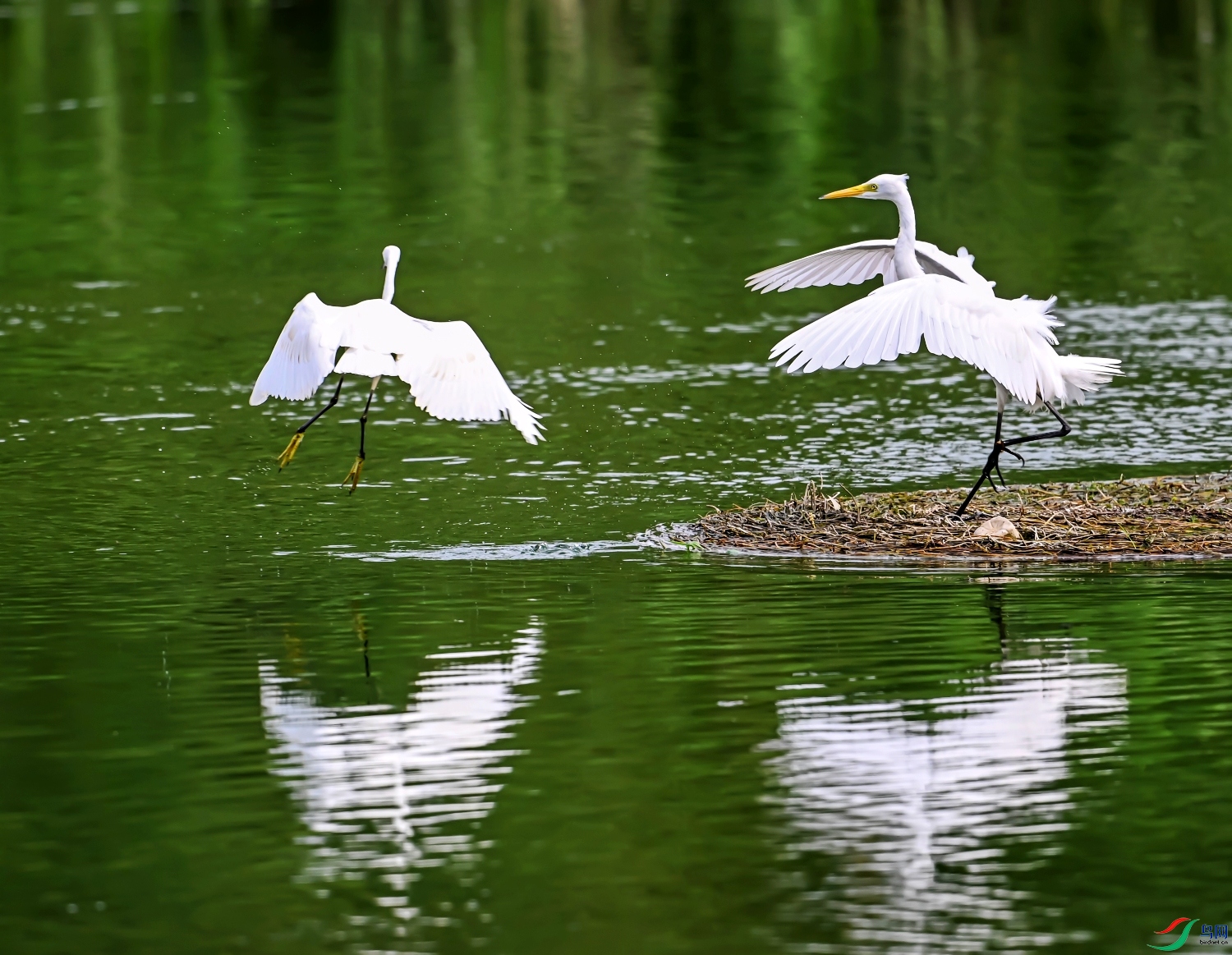 DSC_0813---_conew1.jpg