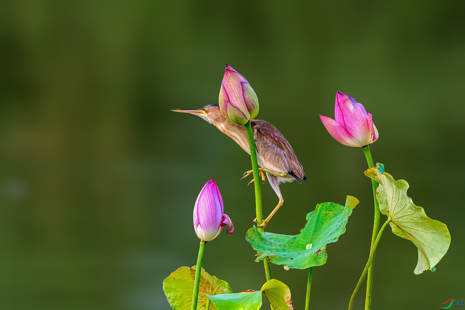 _AUU8113 ��������(25.7.29).jpg