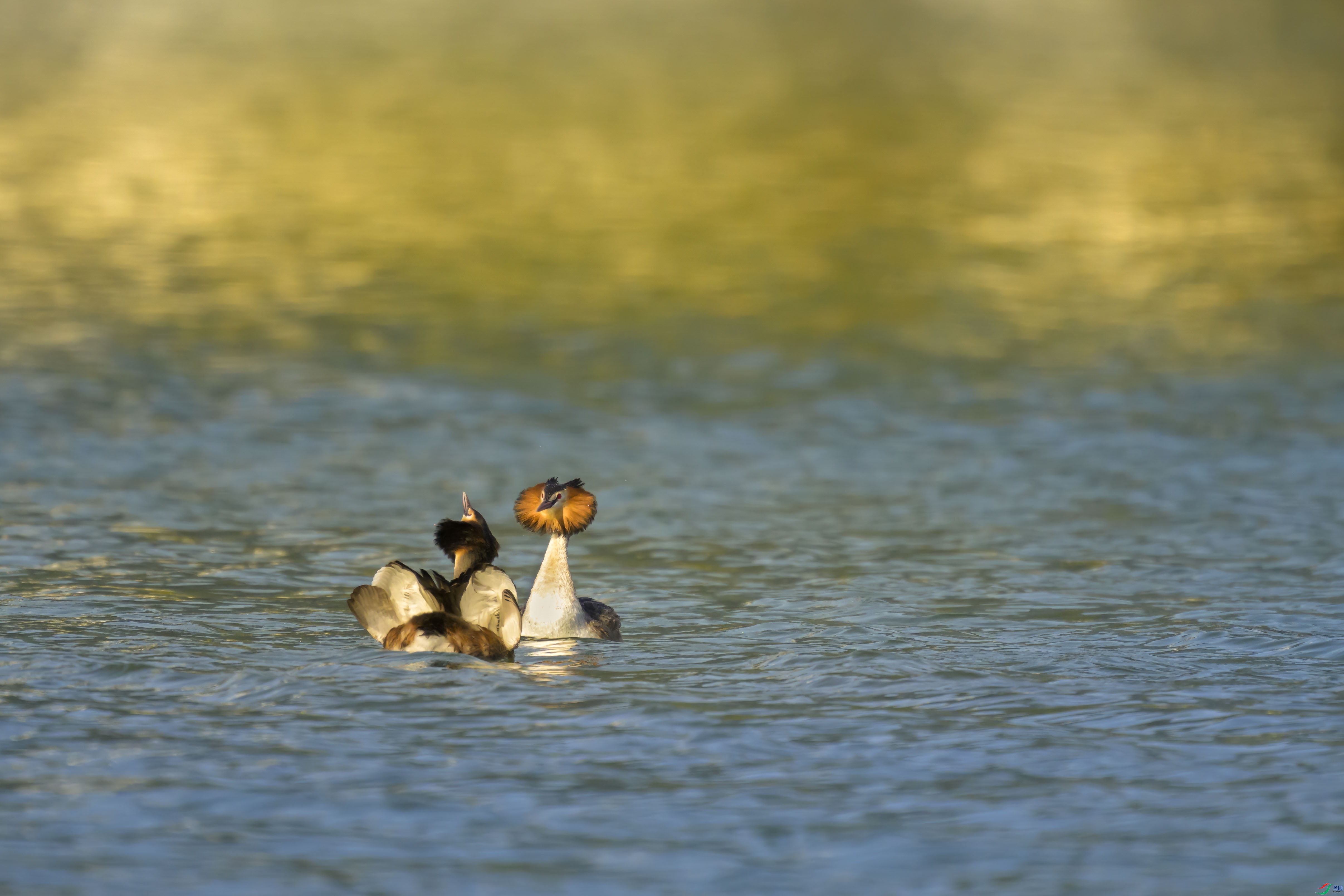 _DSC1226 ����.jpg