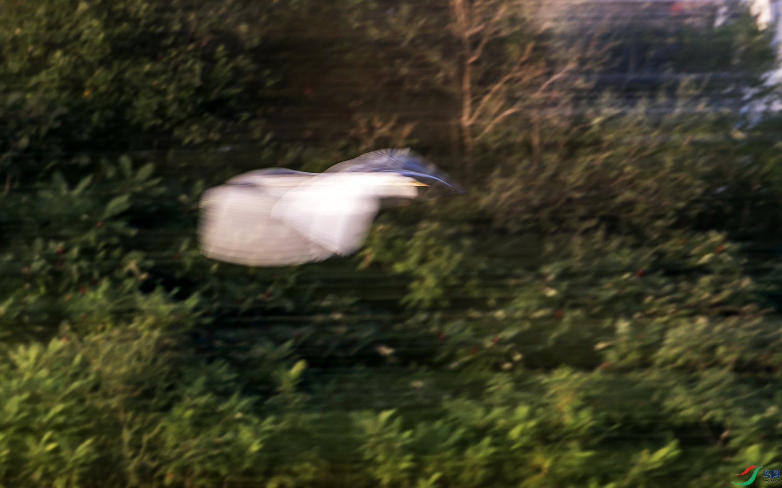 _5LM1695a.jpg