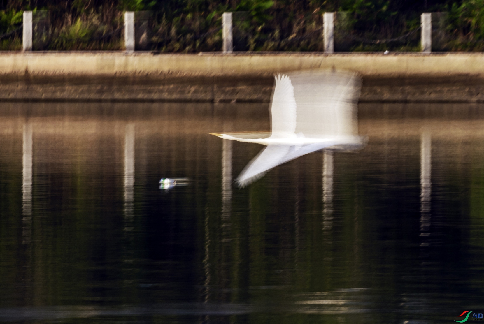_5LM1694a.jpg