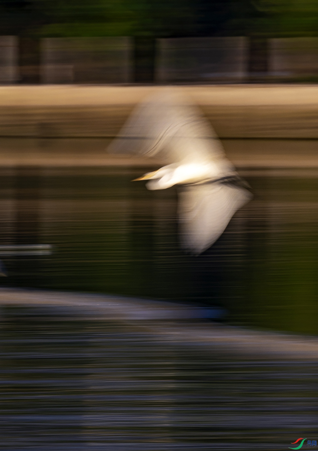 _5LM1696a.jpg